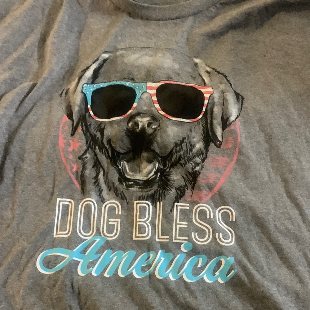 Patriotic Dog Graphic Gray T-Shirt